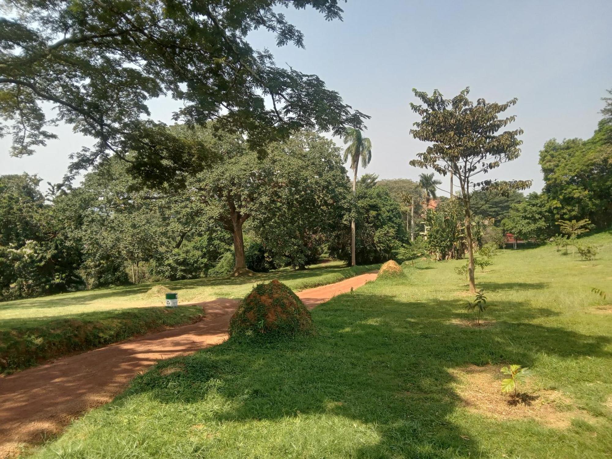 Mowicribs Hotel And Spa Entebbe Phòng bức ảnh